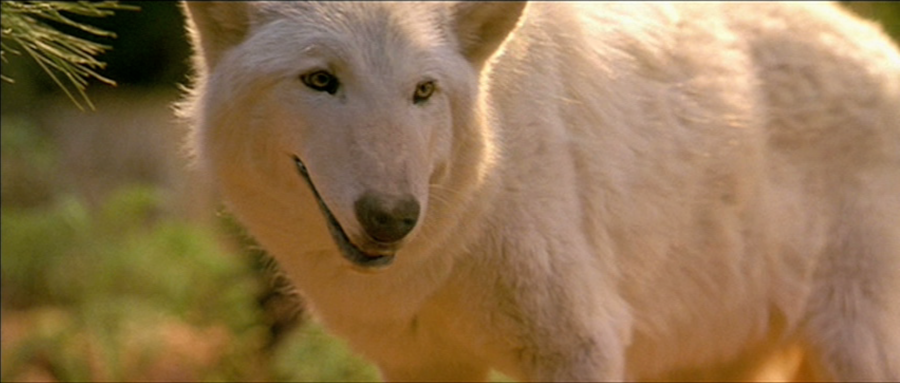 Screen shot 2013-10-09 at 3.37.07 PM