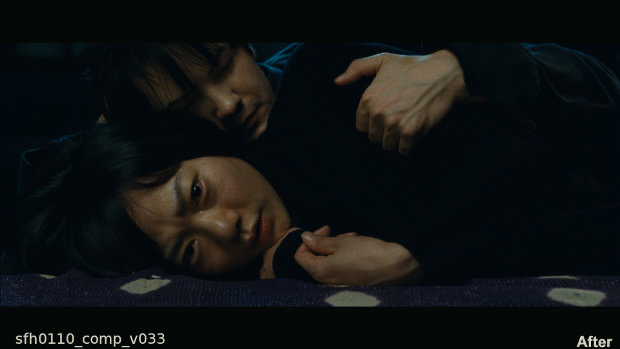 sfh0110_comp_v033_after-620